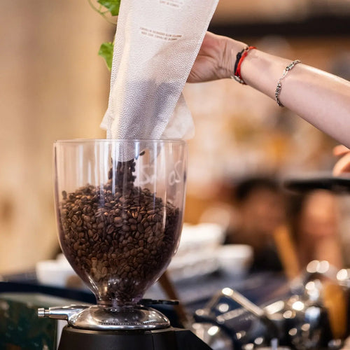 Café "10" Blend - KG - 2