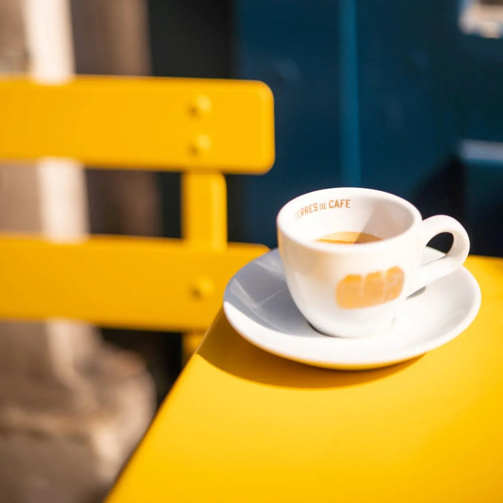Café Barista - KG - 2