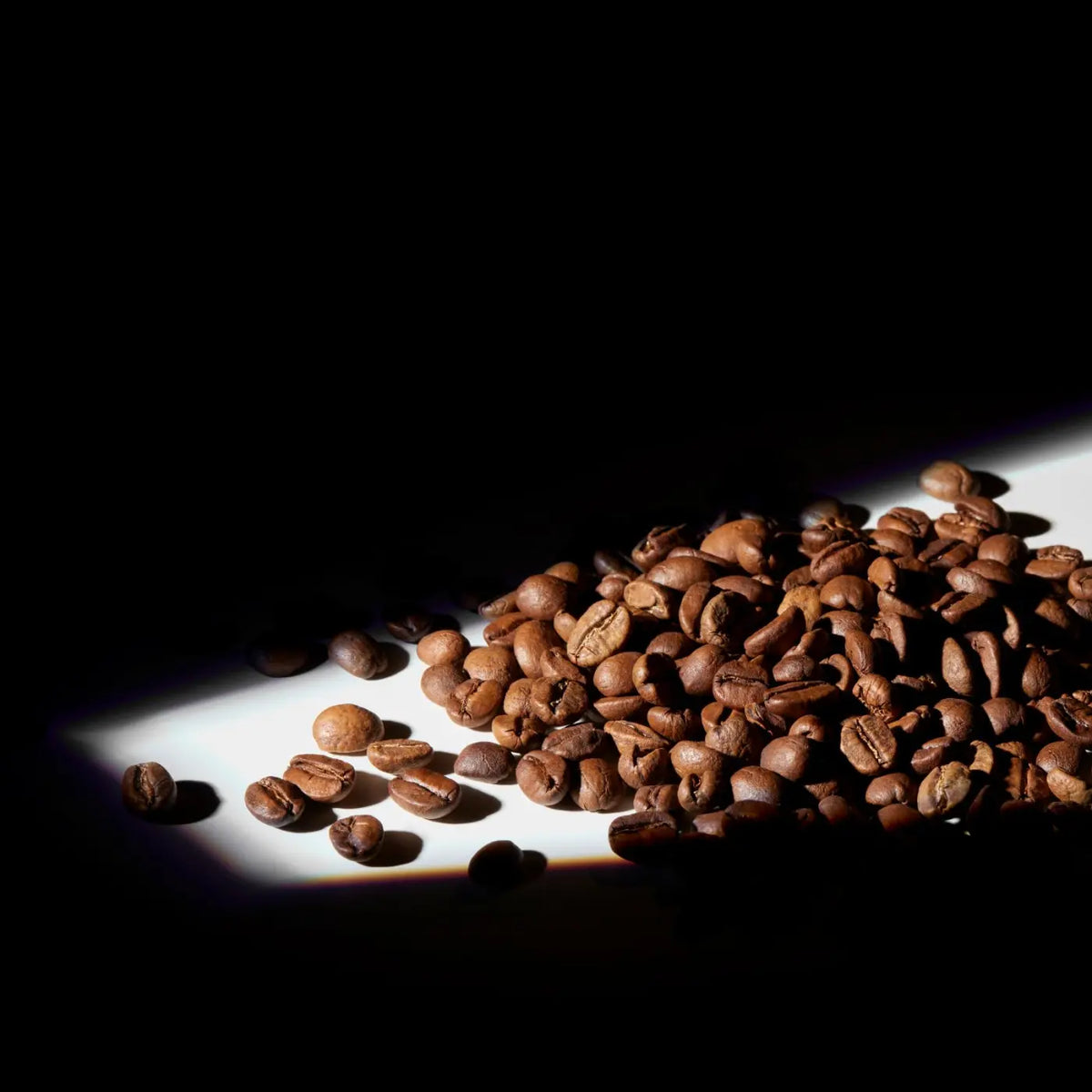 Café Organic Expresso Bio - KG - 2